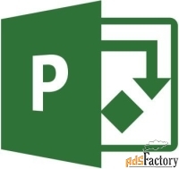 право на использование (электронный ключ) microsoft project profession