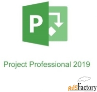 microsoft project pro 2019 32 / 64 russian central / eastern euro only