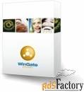 wingate vpn unlimited lan users