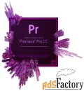 программное обеспечение adobe premiere pro cc