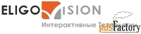 eligovision ev toolbox standard лицензия на 2 пк на 6 месяцев коммерче