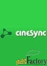 cinesync standard 2 users for 12 months арт.