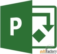 право на использование (электронный ключ) microsoft project standard 2