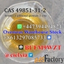 CAS 49851-31-2 bromo-1-phhenyl-pentan-1-one Manufacturer Supplier