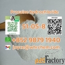 Whatsapp:＋（852）98791940 Sell high quality Procaine hydrochloride cas 5