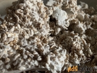 Грибная ферма Farmyc - мицелий ежовика гребенчатого на буром рисе
