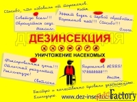 Уничтожение насекомых. Акарицидная обработка. Дезинсекция