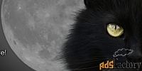 Свечи и магические обереги от Черной Кошки