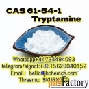 CAS 61-54-1 tryptamine +44734494093