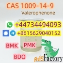 100% safe and fast CAS 1009-14-9 Valerophenone