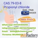 CAS 79-03-8 Propionyl chloride Whatsapp+44734494093