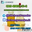 HOT SELL CAS 49851-31-2 @JHchemYumeko