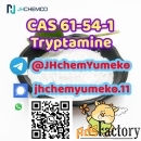 Hot Quality CAS 61-54-1 tryptamine telegram8615629040152