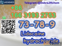 CAS 73-78-9 Lidocaine hydrochloride +8616631932753