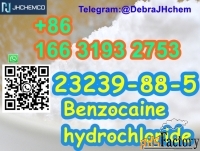 CAS 23239-88-5 Benzocaine hydrochloride +8616631932753