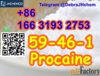 CAS 59-46-1 Procaine +8616631932753