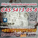 CAS 5413-05-8 Ethyl 2-phenylacetoacetate