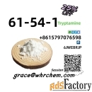 CAS 61-54-1 Tryptamine 100% Safe Delivery/High Purity