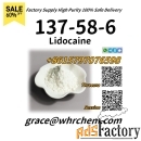 CAS 137-58-6 Lidocaine High Purity Source Factory