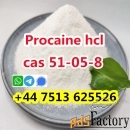 Cas 51-05-8 Procaine Hcl Procaine Hydrochloride powder high quality