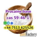 Cas 59-46-1 Procaine base powder large stock