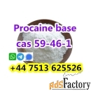 Cas 59-46-1 Procaine base powder large stock