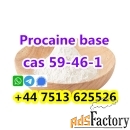 Cas 59-46-1 Procaine base powder large stock