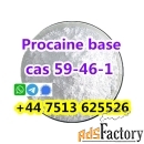 Cas 59-46-1 Procaine base powder large stock