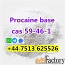 Cas 59-46-1 Procaine base powder large stock