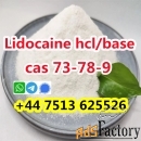 Cas 73-78-9 Lidocaine Hydrochloride factory supply