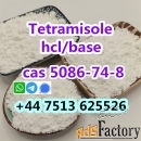 Cas 5086-74-8 tetramisole hcl base