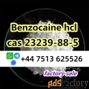Cas 23239-88-5 Benzocaine Hydrochloride hcl global ship