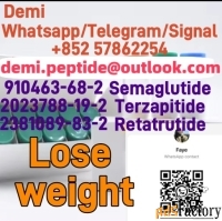 Factory supply lose fat peptide Semaglutide Cas No. 910463-68-2 Safe d