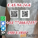 CAS 94-24-6 Tetracaine powder with best price