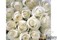 Прoдаю новые фотообои