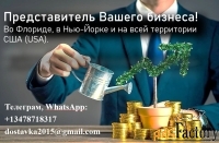 Представлю ваши интересы и бизнес в США (USA)