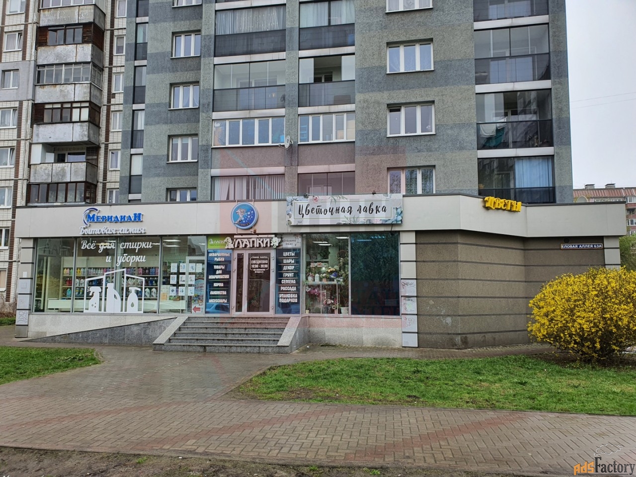 свободного назначения, 536 м²