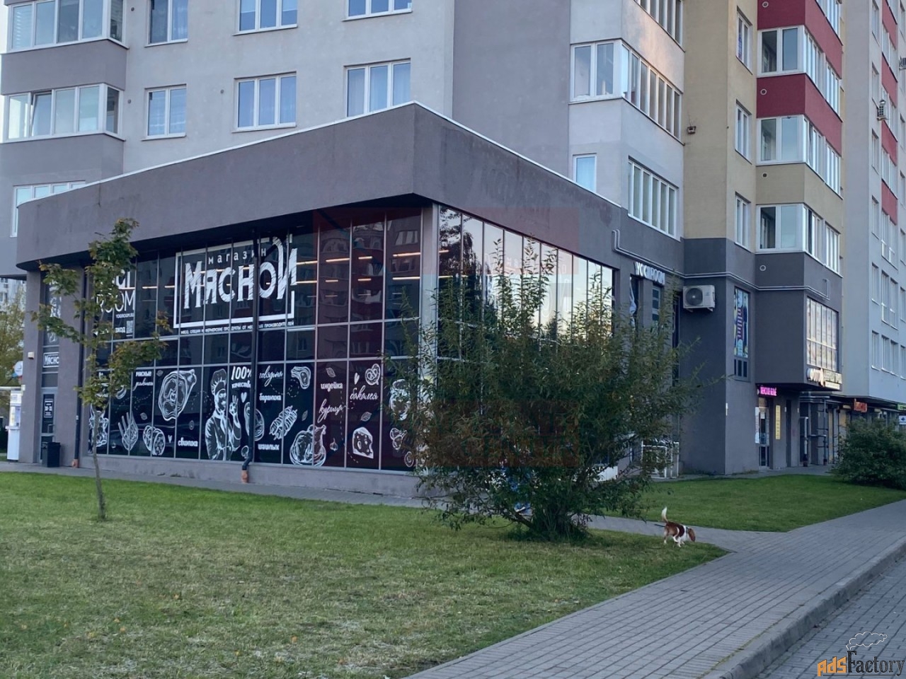 свободного назначения, 262.2 м²