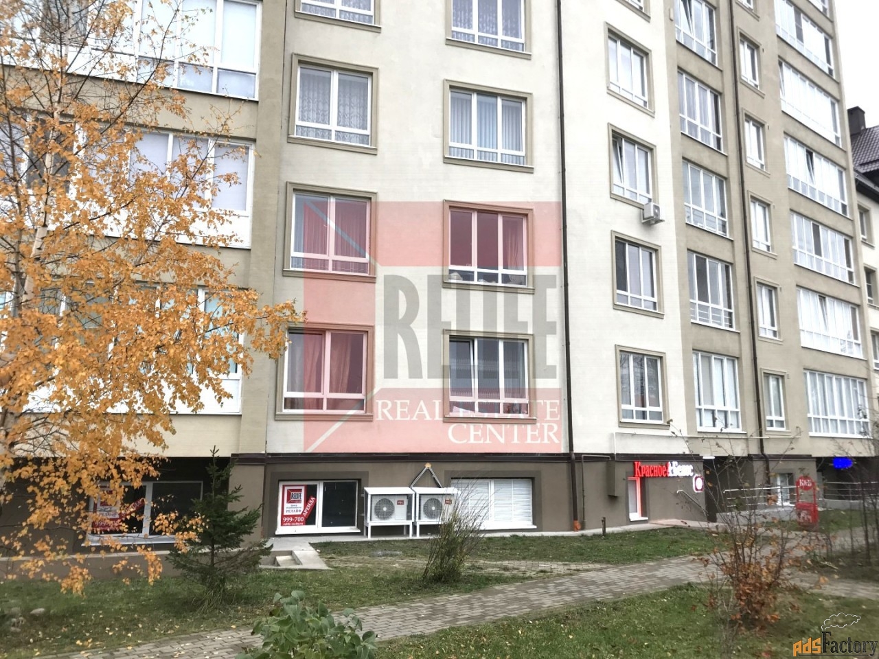 свободного назначения, 53.9 м²