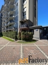 свободного назначения, 85.5 м²