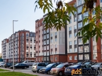 2 - комн.  квартира, 58.46 м², 7/8 эт.