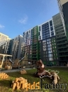 3 - комн.  квартира, 96.2 м², 14/15 эт.
