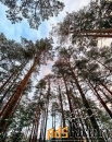 таунхаус 258.5 м² на участке 3.02 сот.
