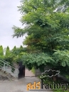 свободного назначения, 1300 м²