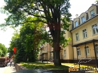 свободного назначения, 1432 м²