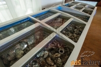 свободного назначения, 250 м²