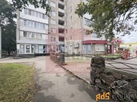 свободного назначения, 55 м²