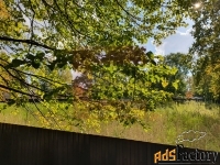 земельный участок, 3873 сот.