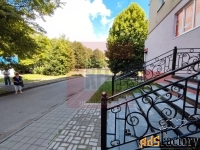 свободного назначения, 81.8 м²