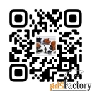 Ремонт насоса Komatsu.